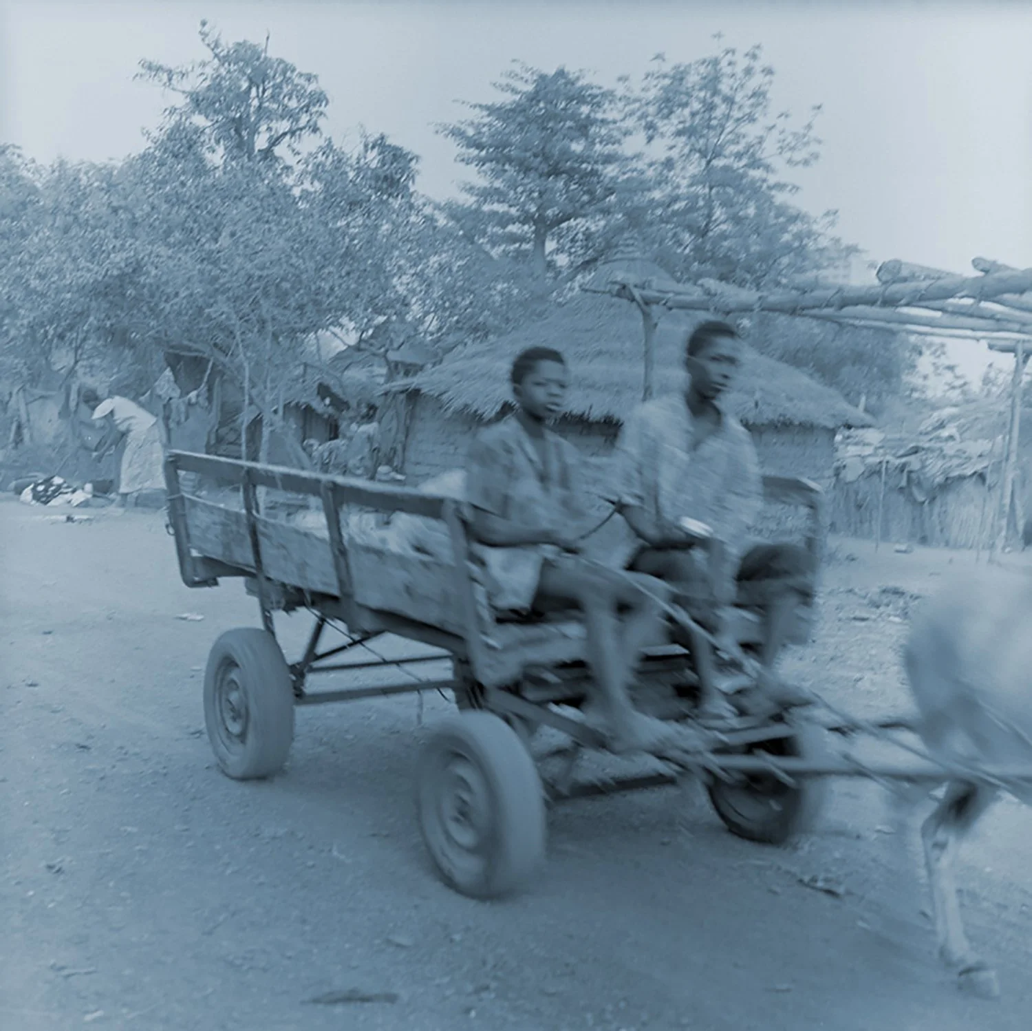 Africa Gems and Jewels — Carrie Mae Weems
